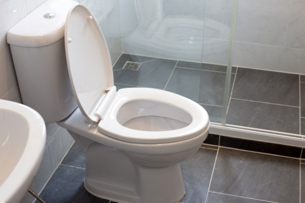 Cost of Toilet Replacement in Manchester